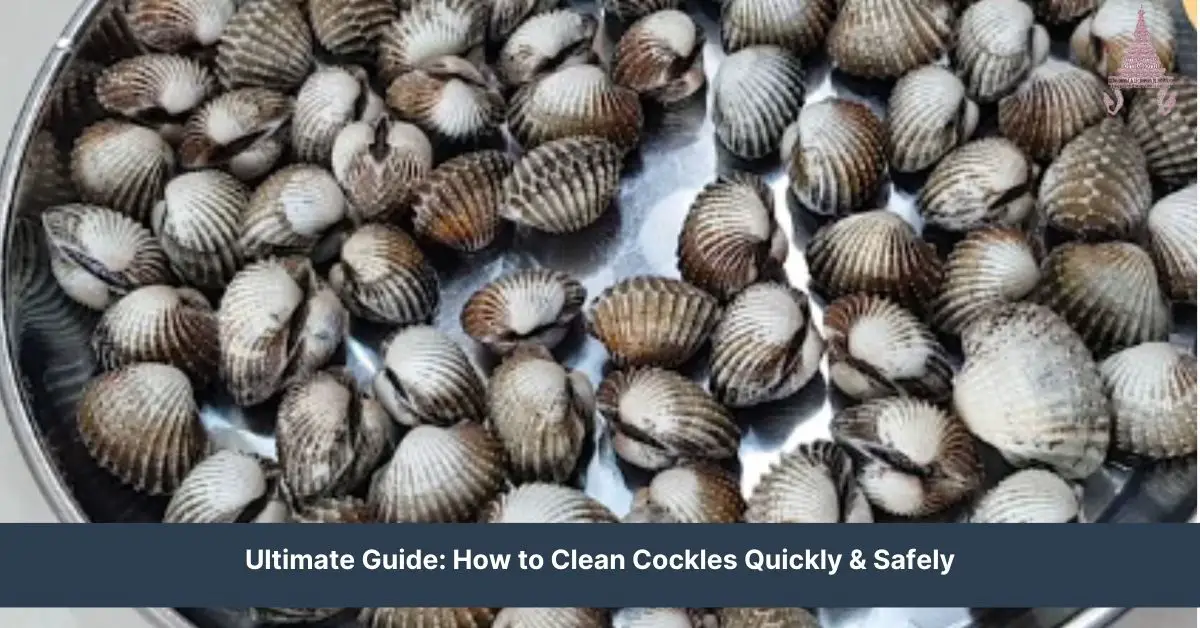 how to clean cockles
